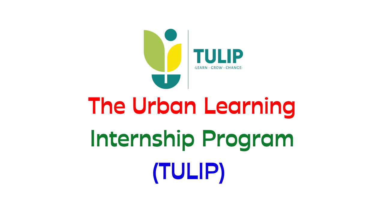 Read more about the article The Urban Learning Internship Program (TULIP) – Unlocking Opportunities for Fresh Graduates in Pune